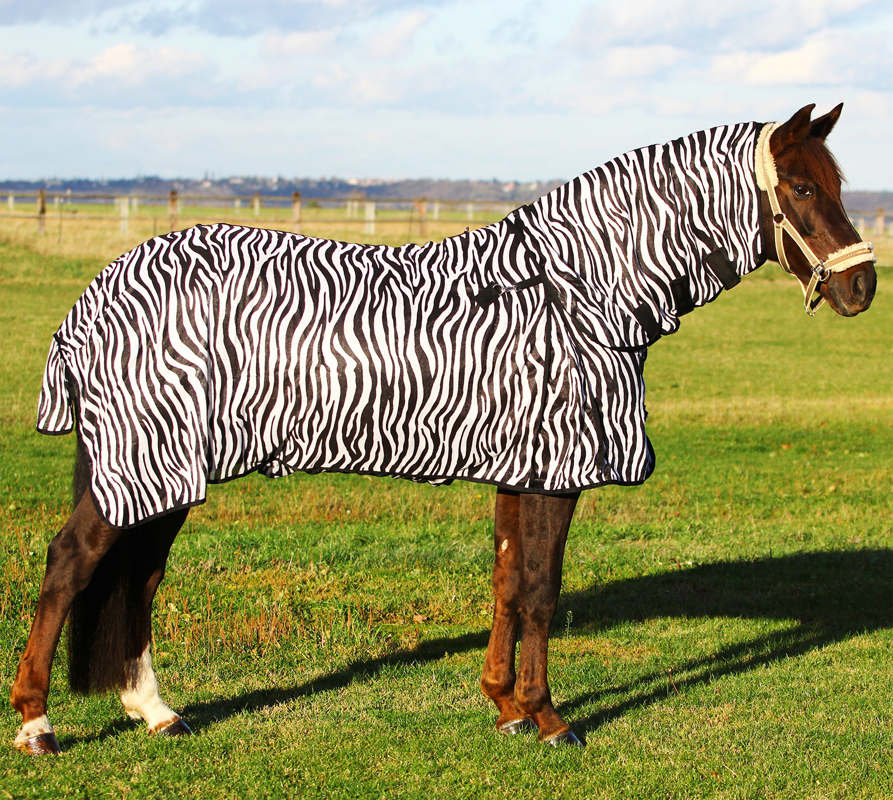 Euroriding Vliegendeken met Hals Zebra