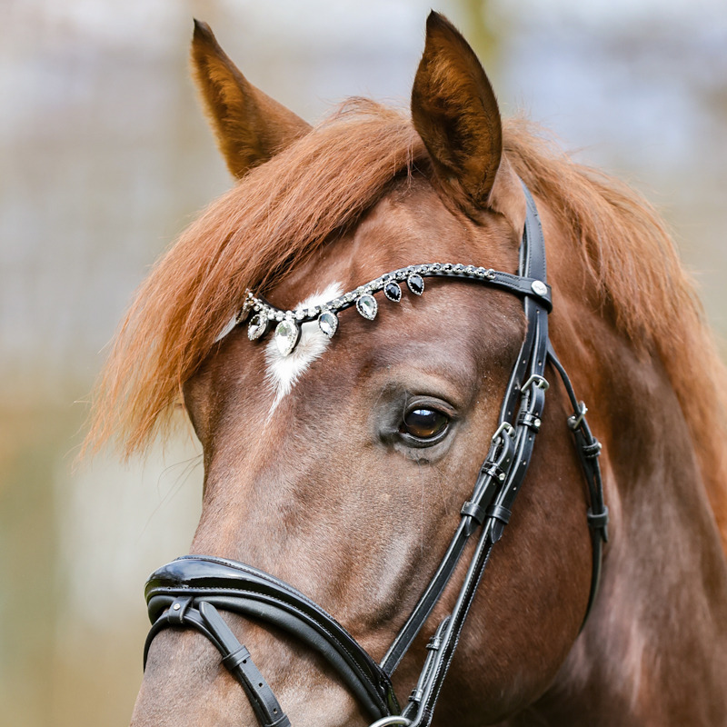 Kavalkade Frontriem Empress