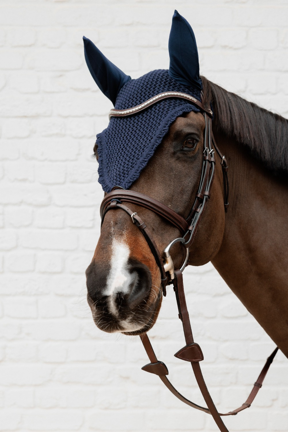 Kentucky Fliegenhaube Lang Soundless
