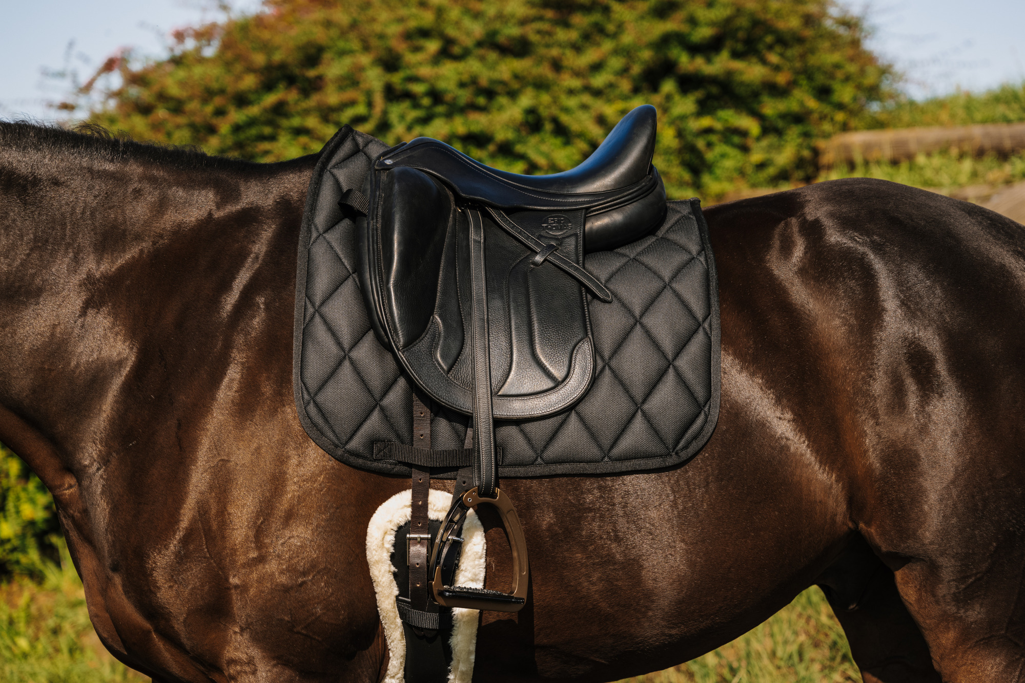Riding World Dressuur Dekje School
