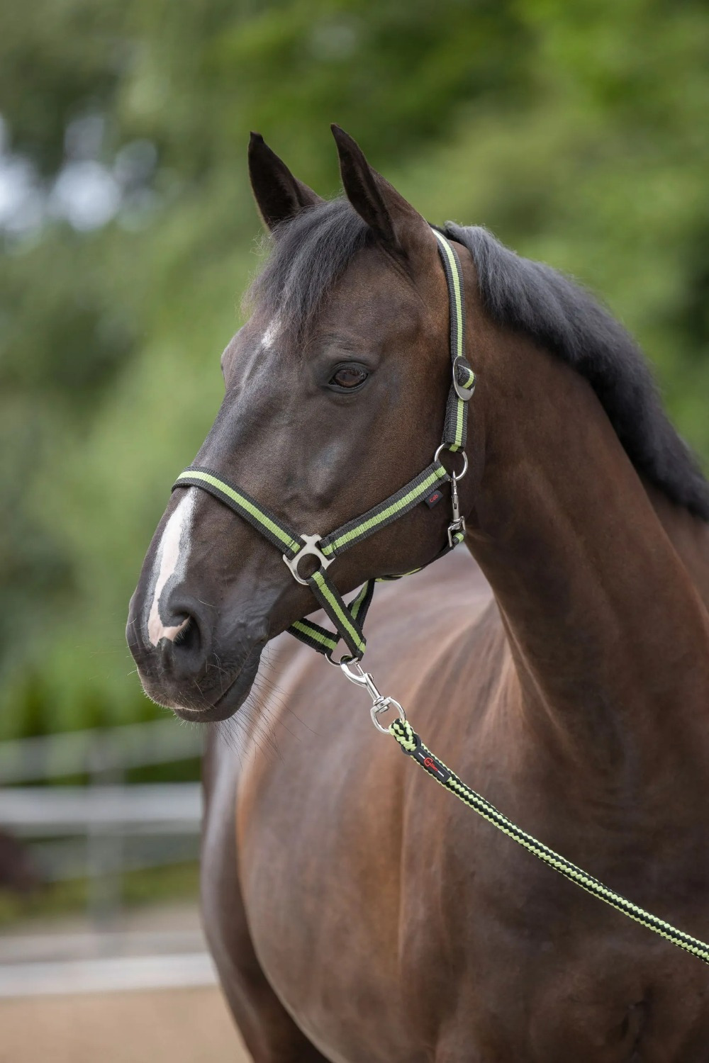 Covalliero Nylon Halter Hippo