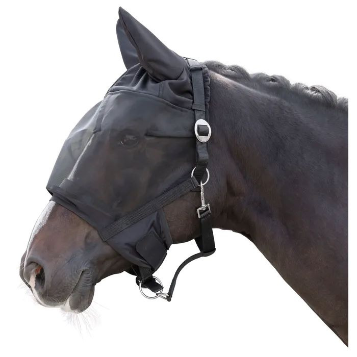 Covalliero Halter with Fly Mask
