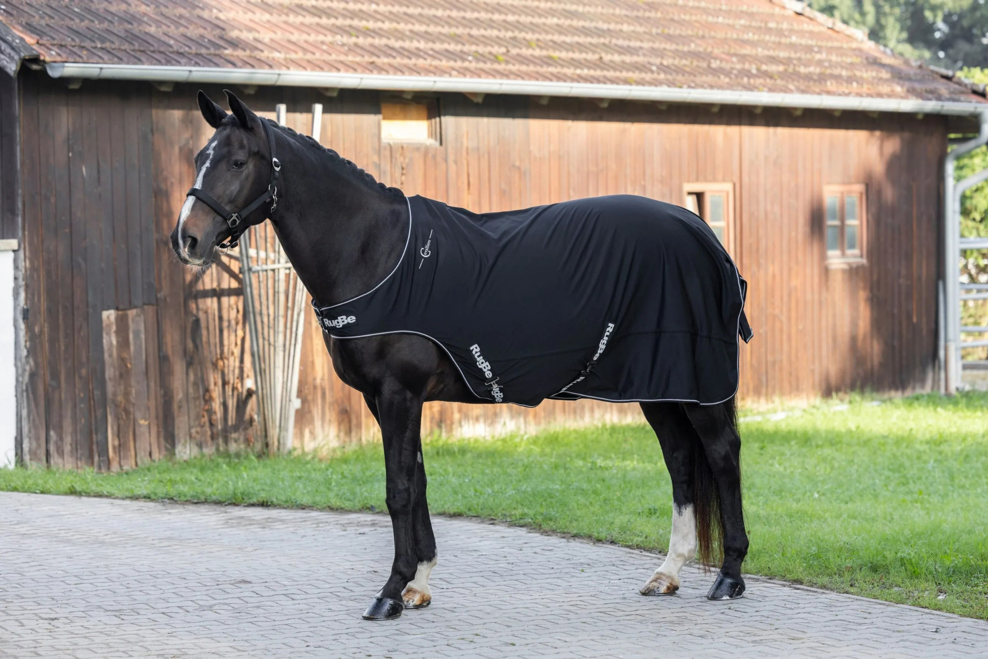 Covalliero RugBe Walker Rug