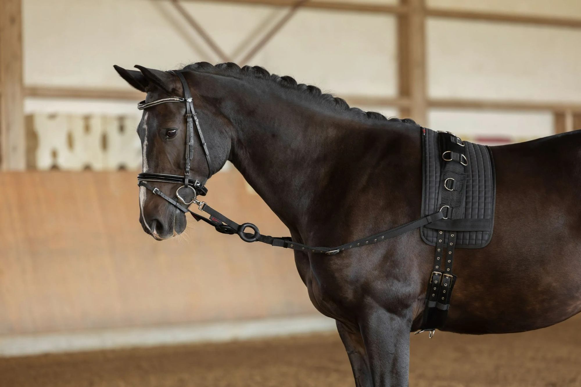 Covalliero Side Rein