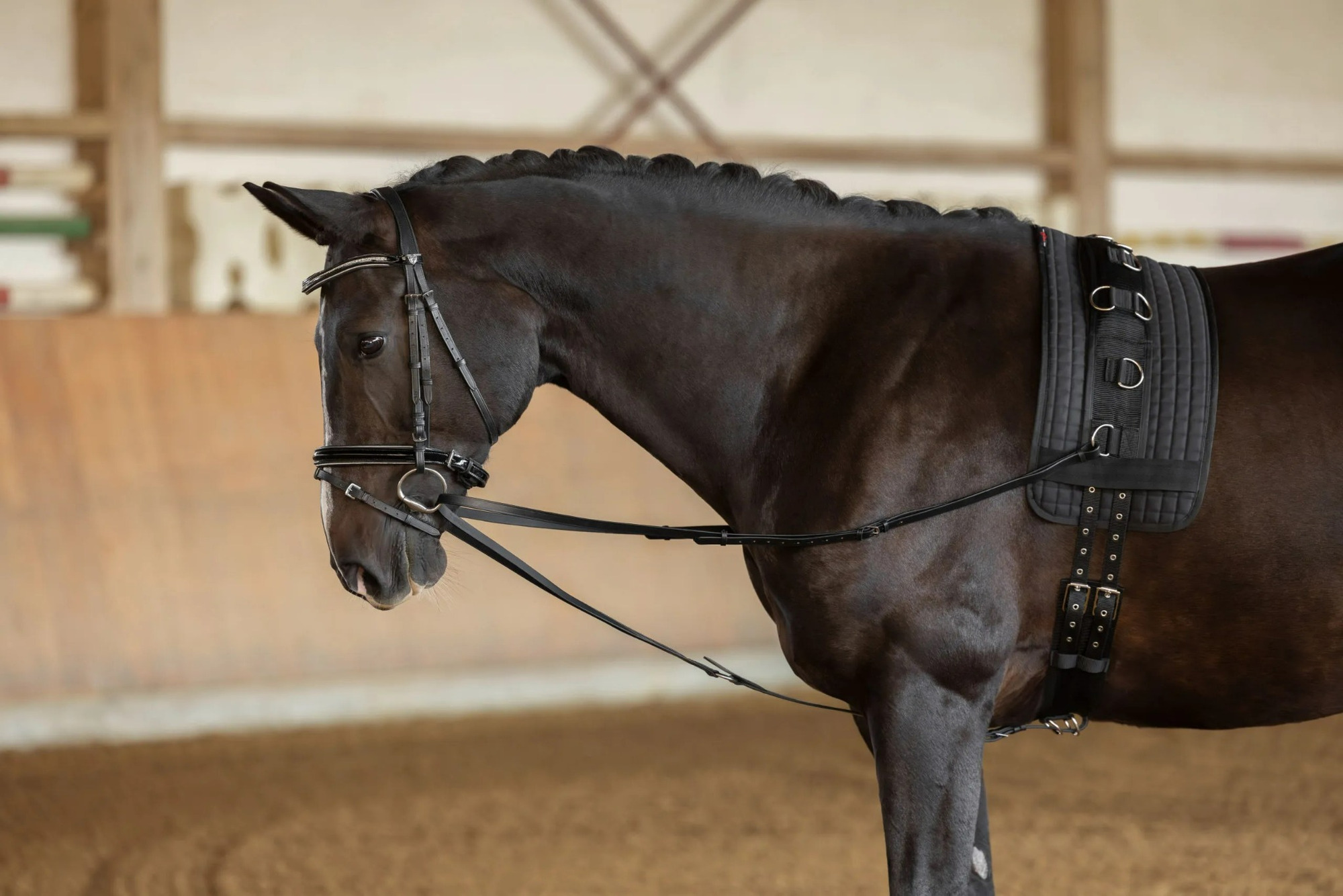 Covalliero Triangle Reins