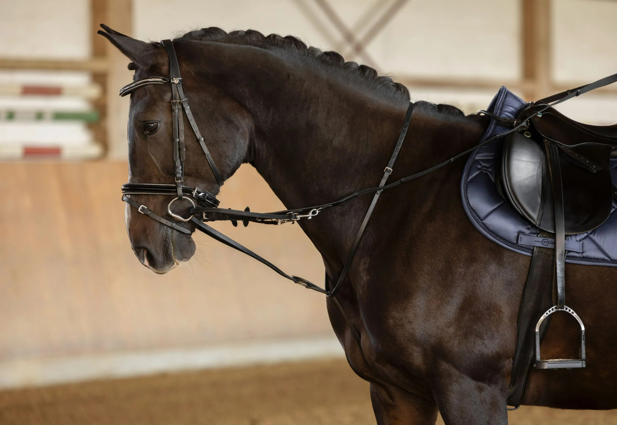 Covalliero Thiedeman reins