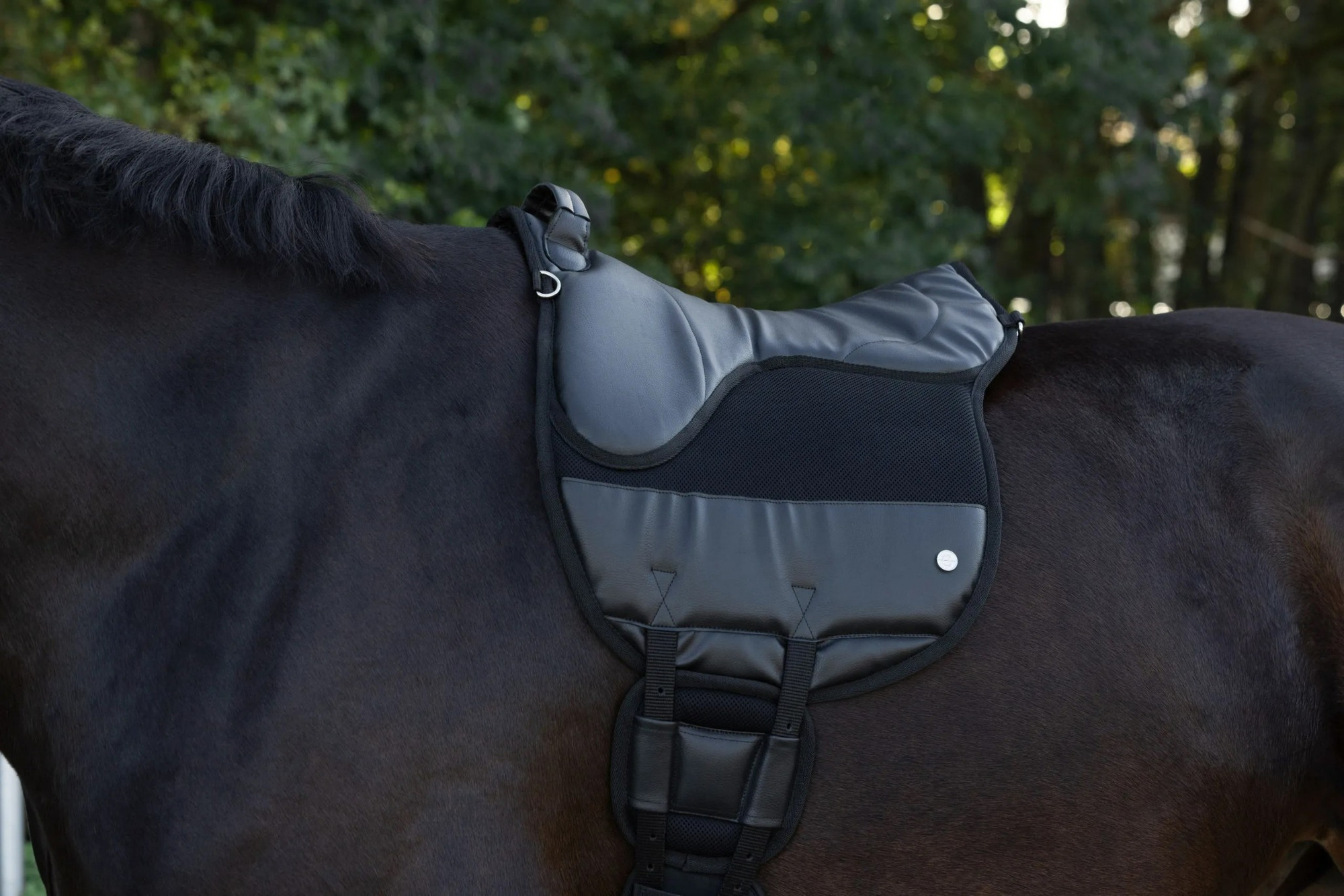 Covalliero Bareback Pad