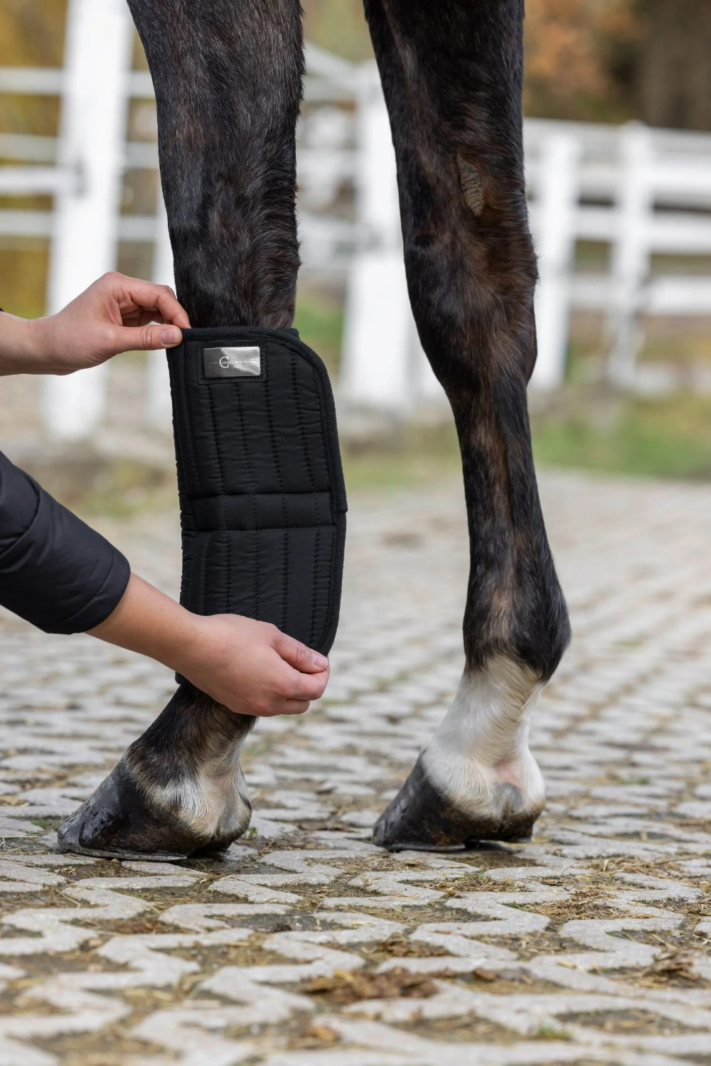 Covalliero Bandage Pads CovallieroTherm