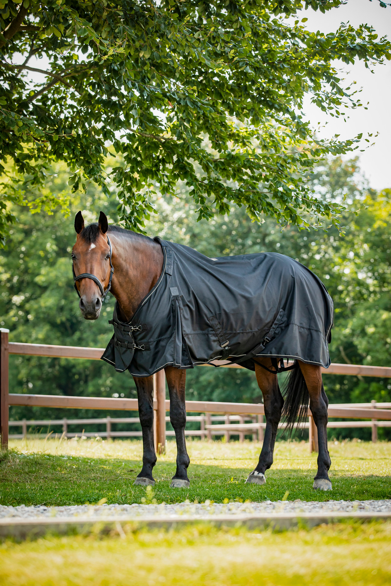 Catago Endurance 2.0 1680D turnout blanket 0g