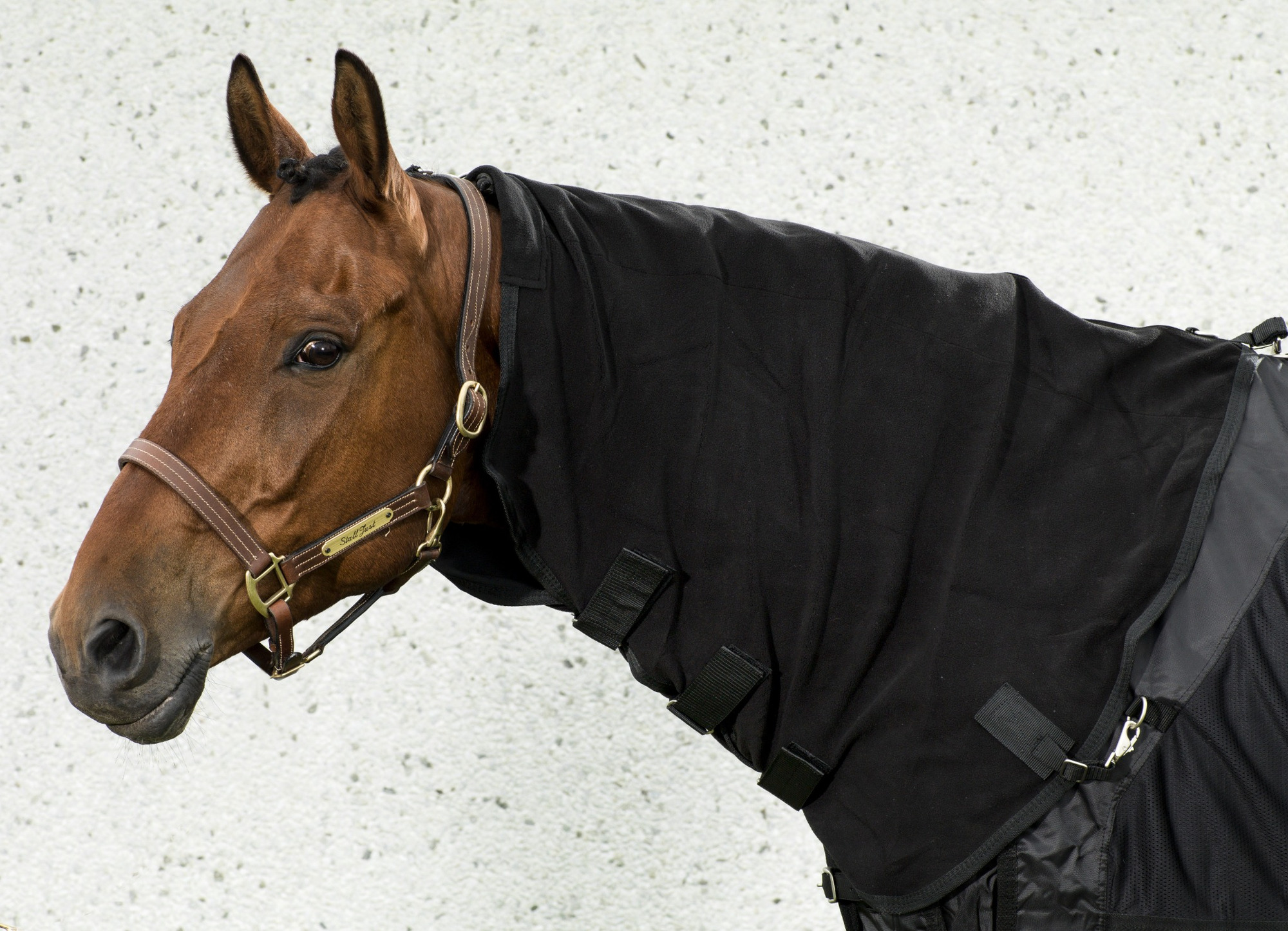 Back on Track Fleece-Halsteil
