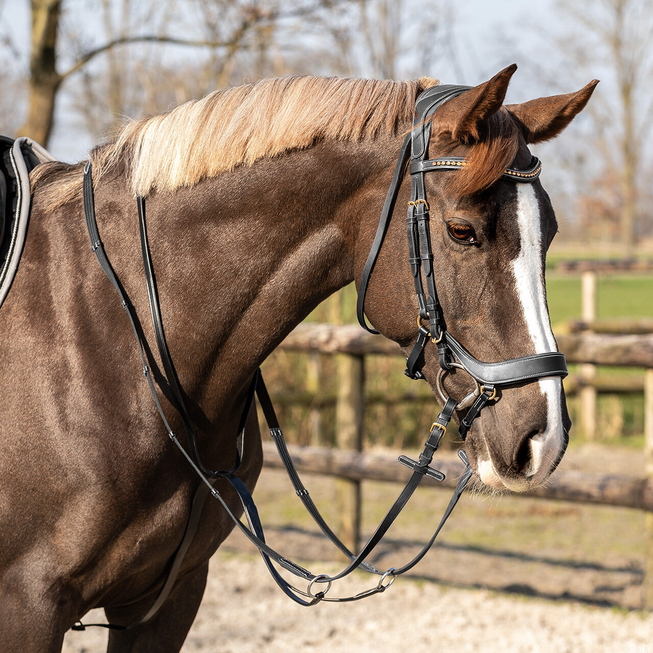 QHP Martingale Basic Pro Black
