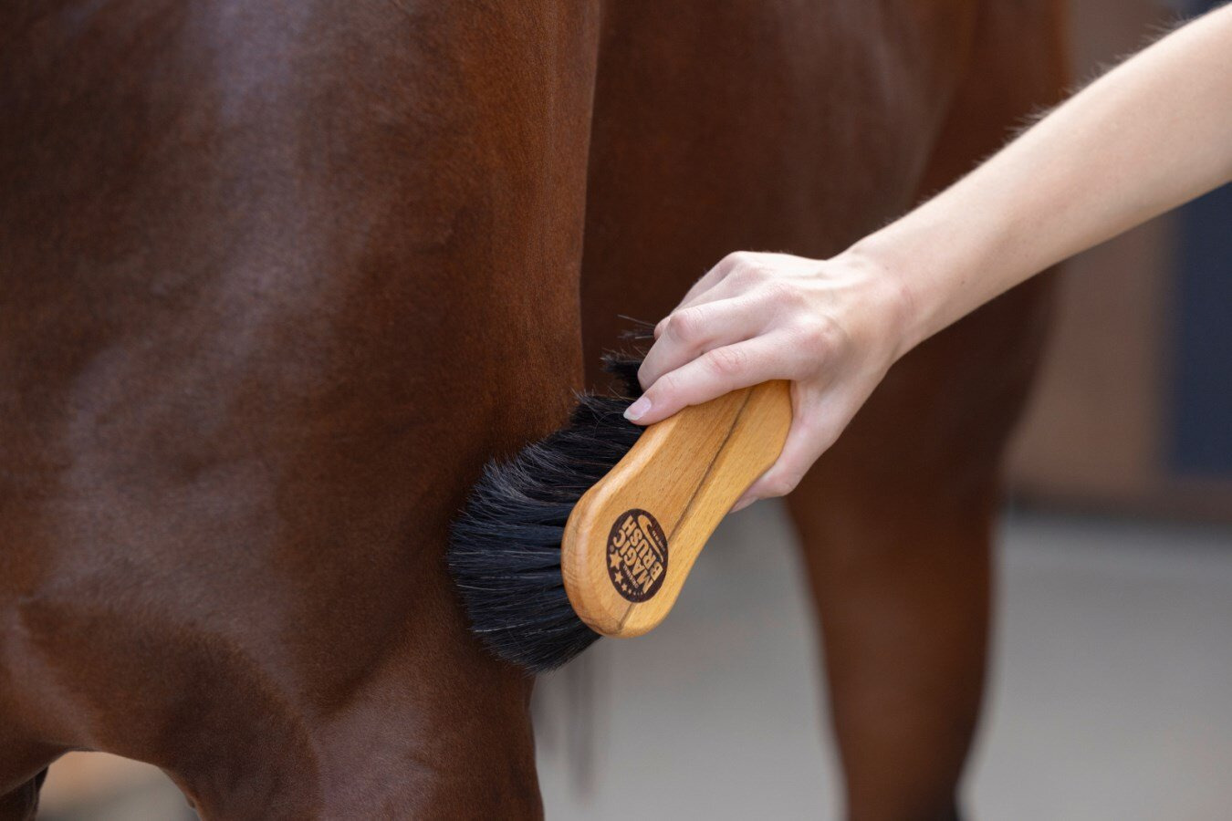 MagicBrush Bürste grob