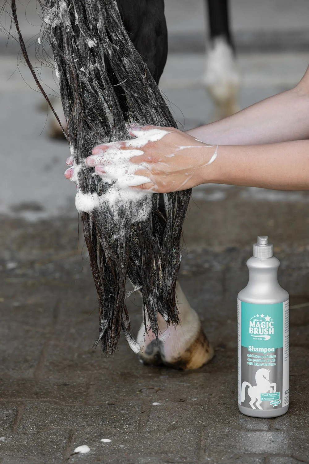 MagicBrush Pferdeshampoo