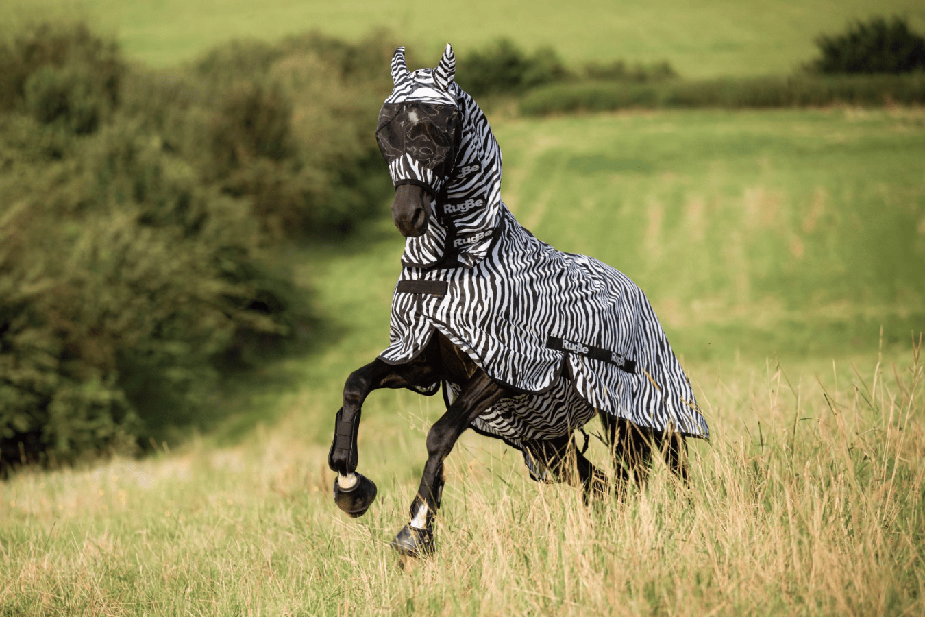 Covalliero Zebra Fly Mask with Ears