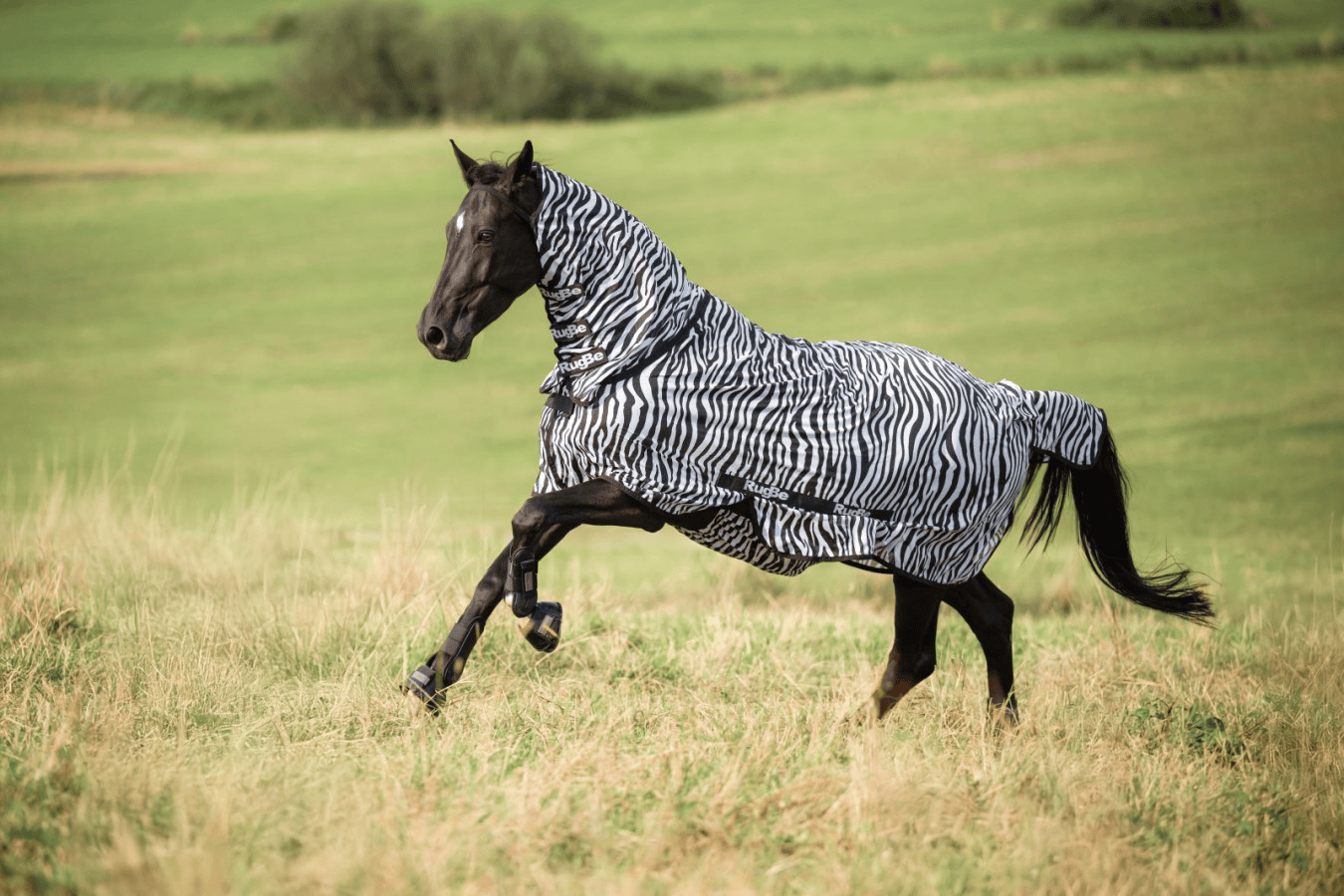 Covalliero RugBe Fly Sheet Zebra