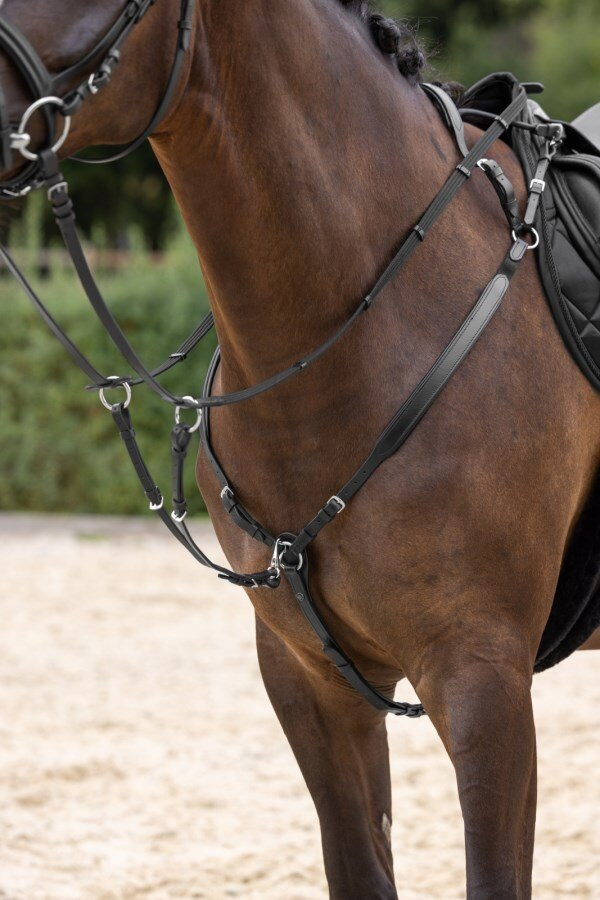 Covalliero Breastplate