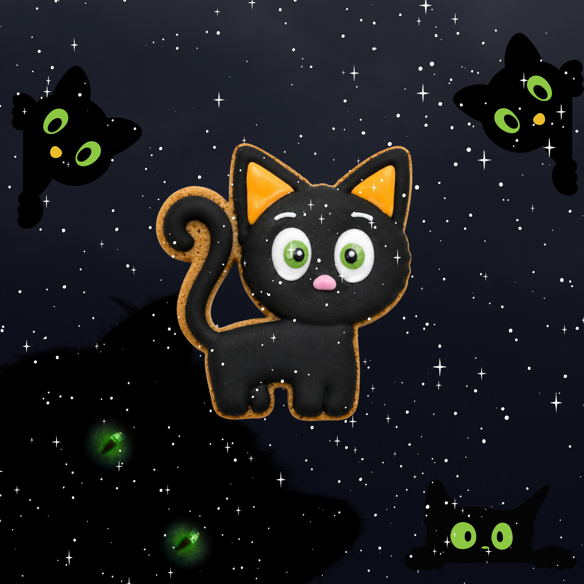 Candy Horse Halloween 2026 Black Cat
