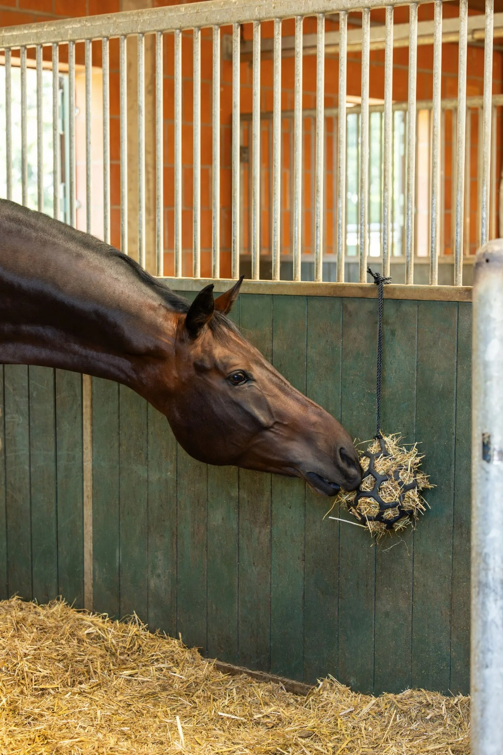 Covalliero Hay Ball Flex small