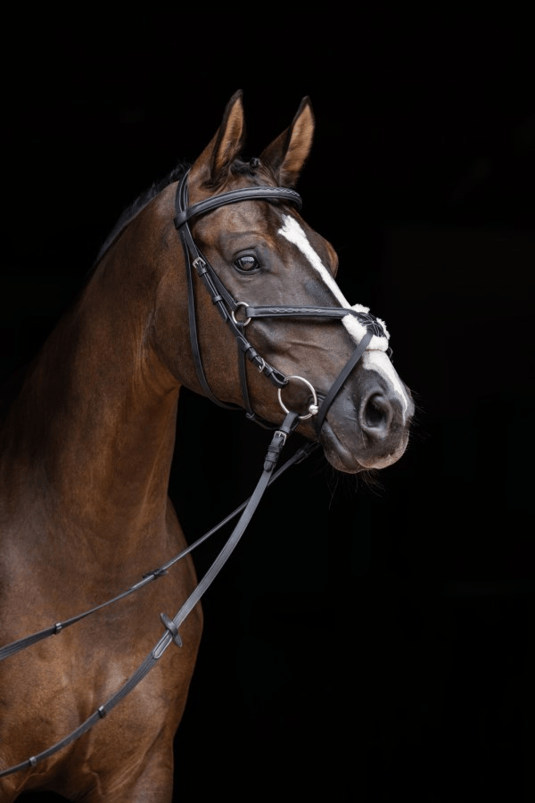Covalliero Mexican Bridle