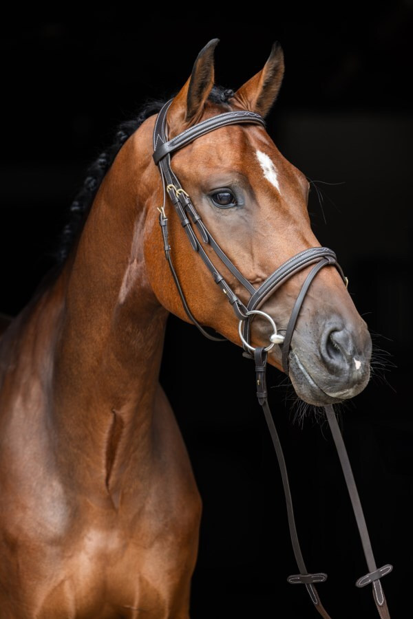 Covalliero Snaffle Bridle Classic