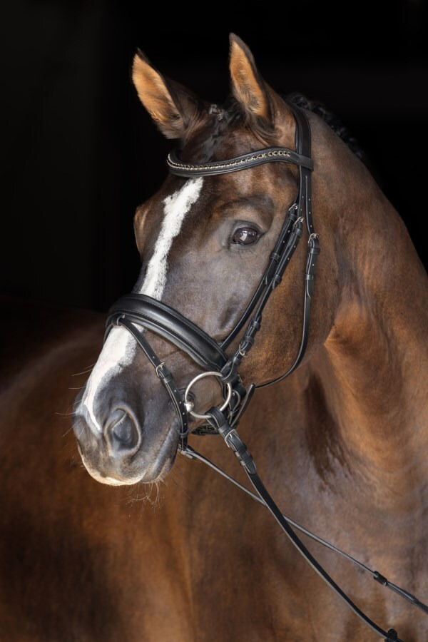Covalliero Swedish Bridle