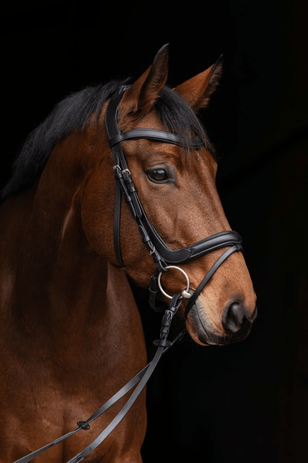 Covalliero Anatomical Bridle