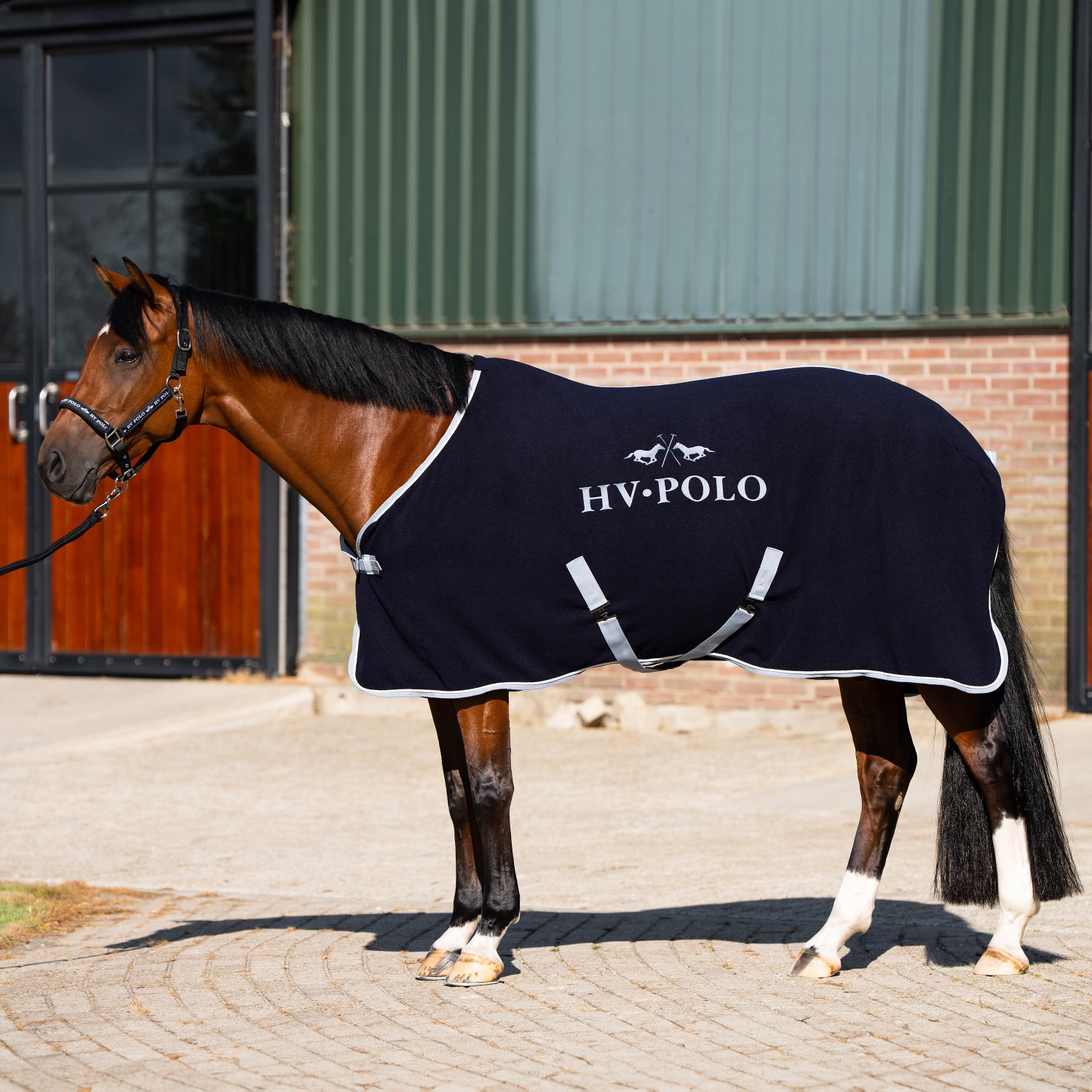 HV Polo Pony Fleece Decke HVPSasha