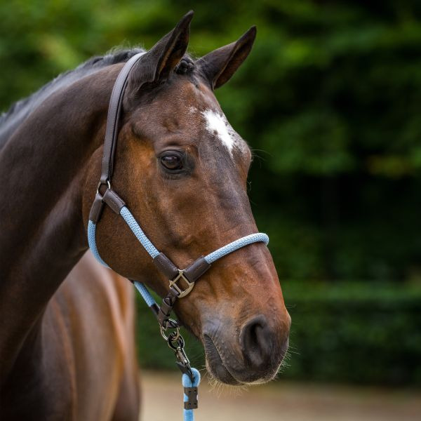 HV Polo SS26 Halter HVPFranka