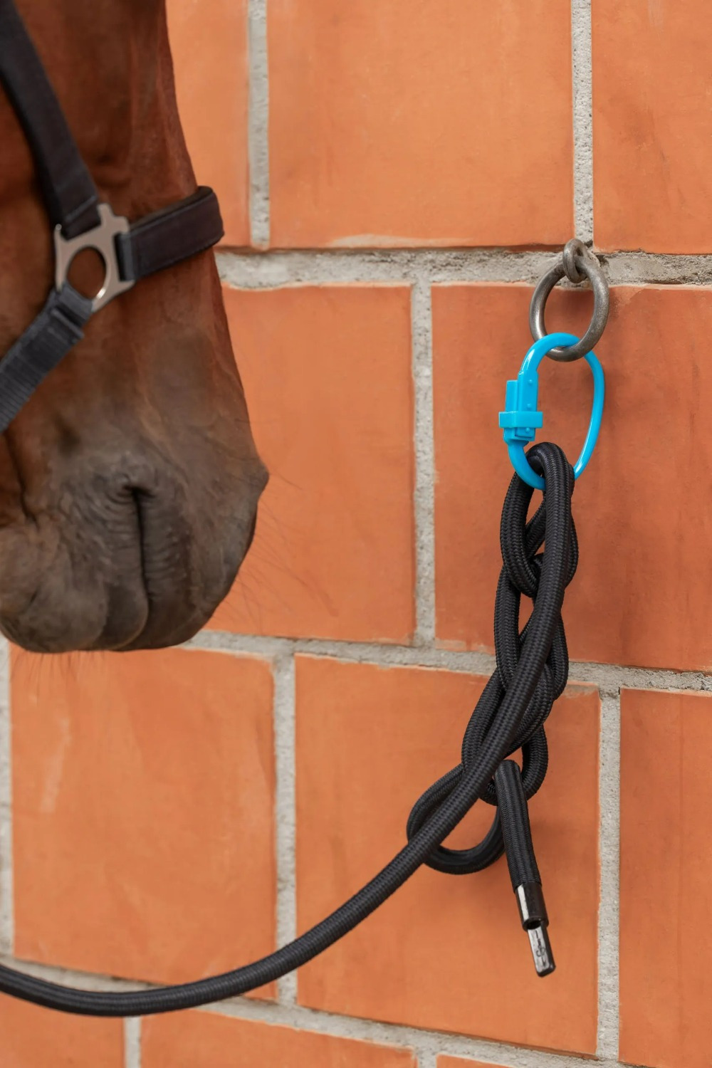 Kerbl Safety Tie Ring Set, 3-Piece