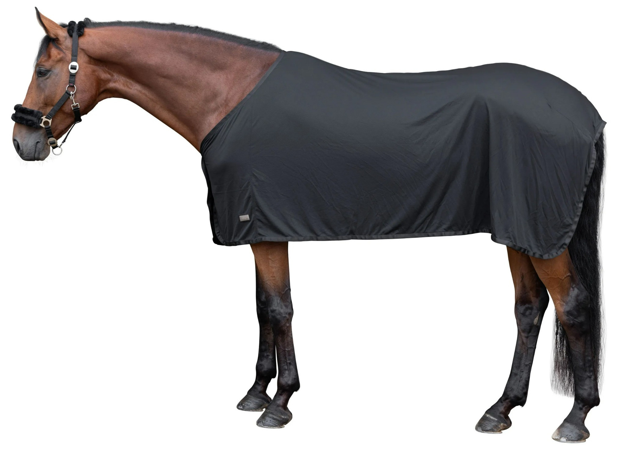 Covalliero Cool Cooling Rug