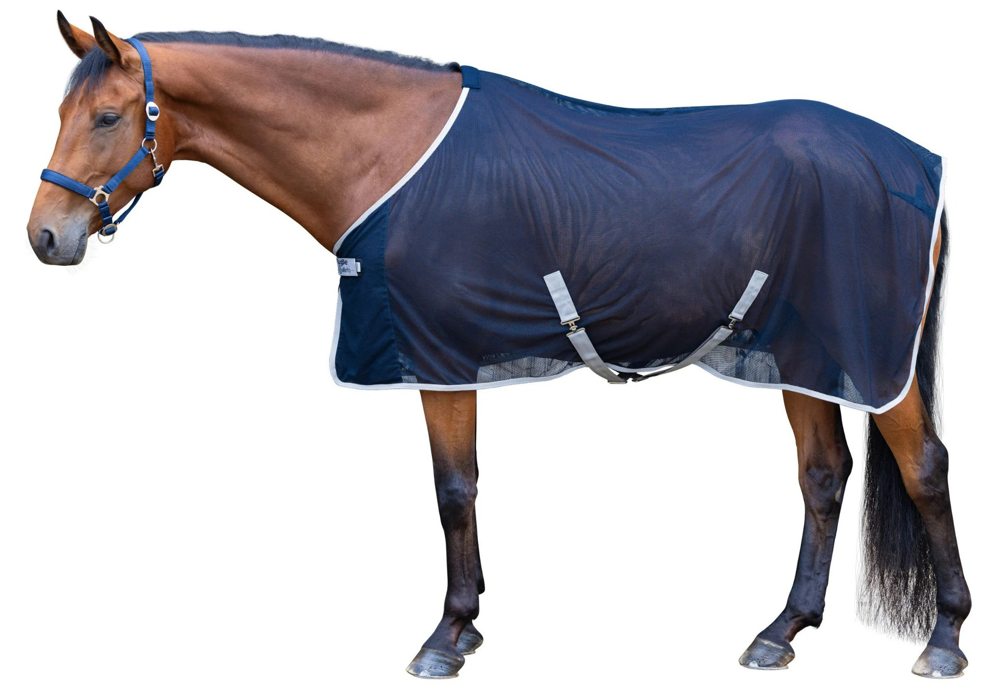 Covalliero Fly Sheet RugBe