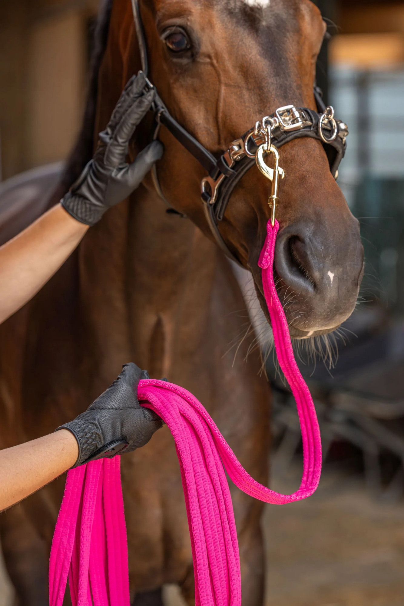 Covalliero Lunge Line Softlonge