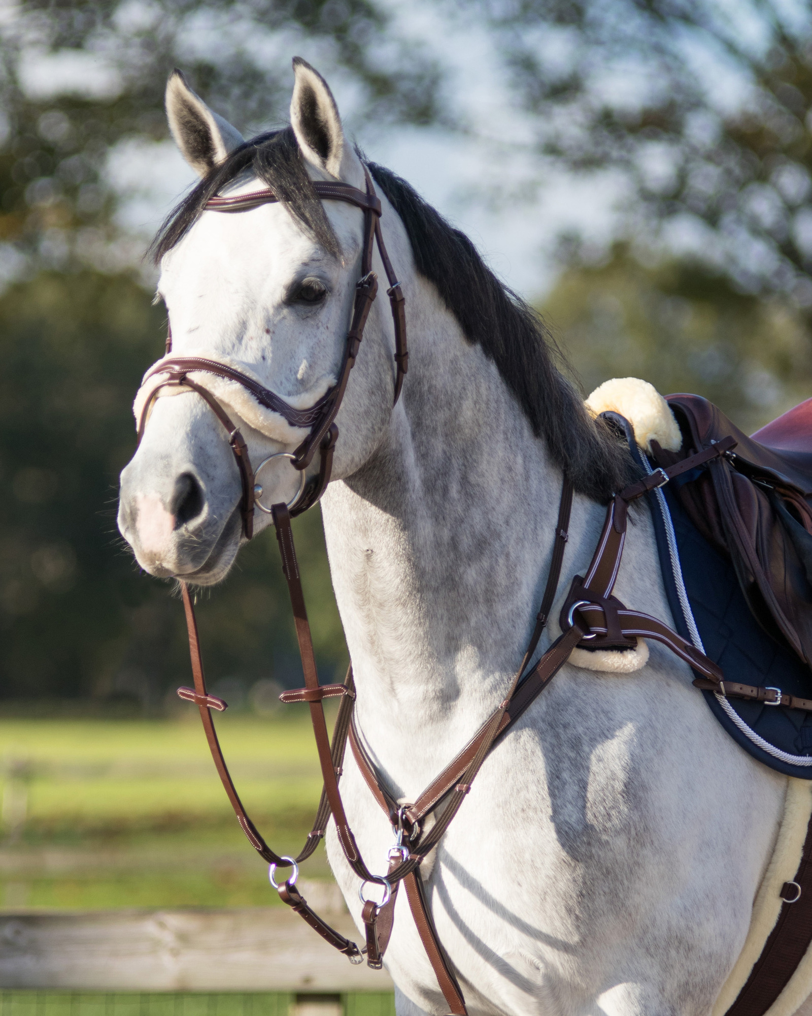 QHP Breastplate Ontario