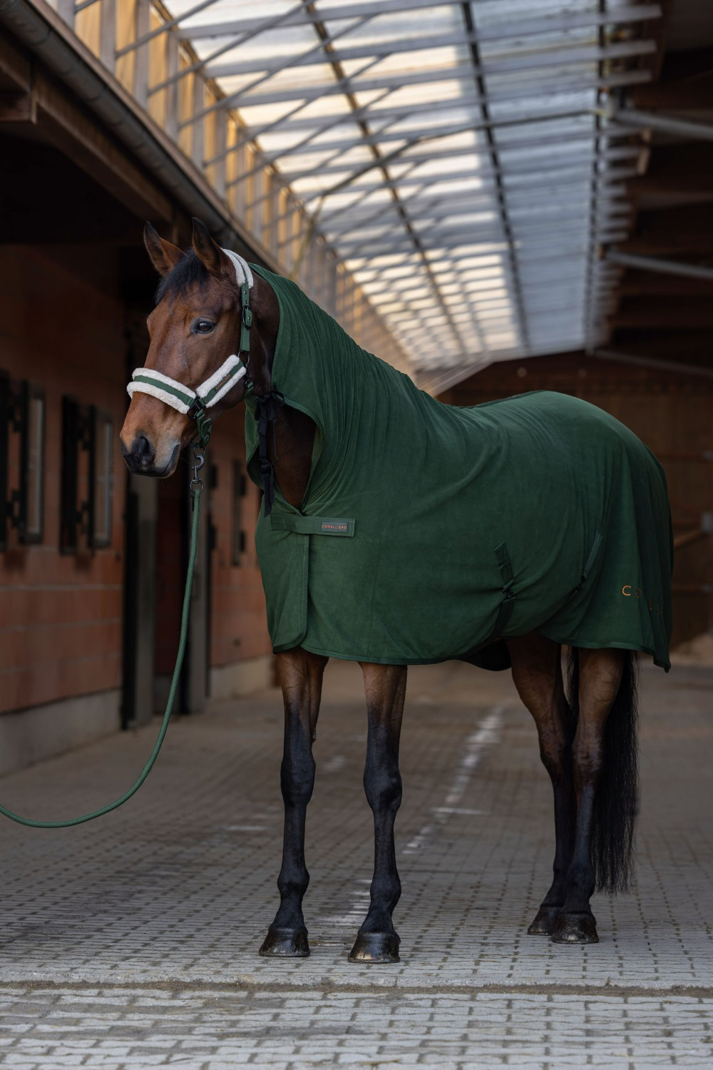 Covalliero FW26 Cooler/Fleece Blanket