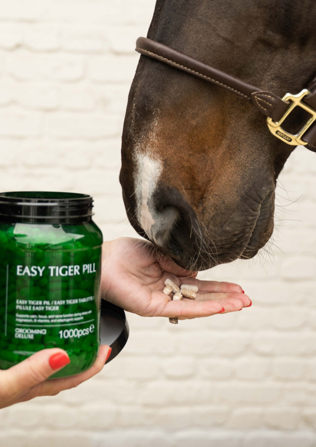 Grooming Deluxe Easy Tiger Pil