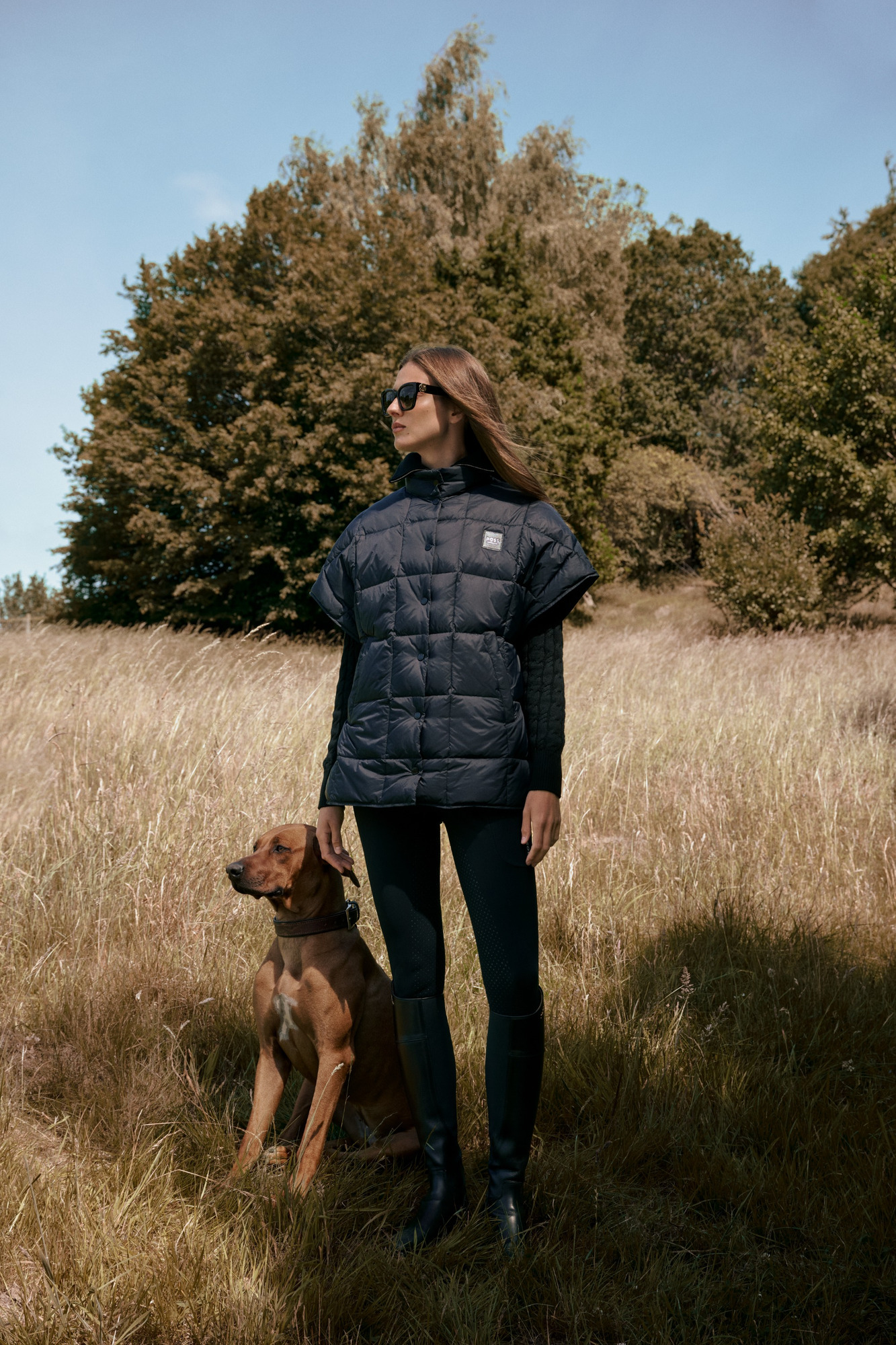 BOSS Equestrian FW26 Daunenweste Demi Down Cepe