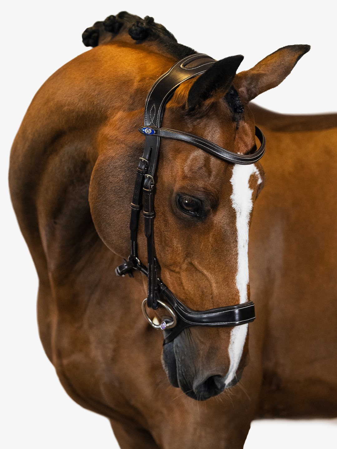 PS of Sweden Pioneer anatomical bridle