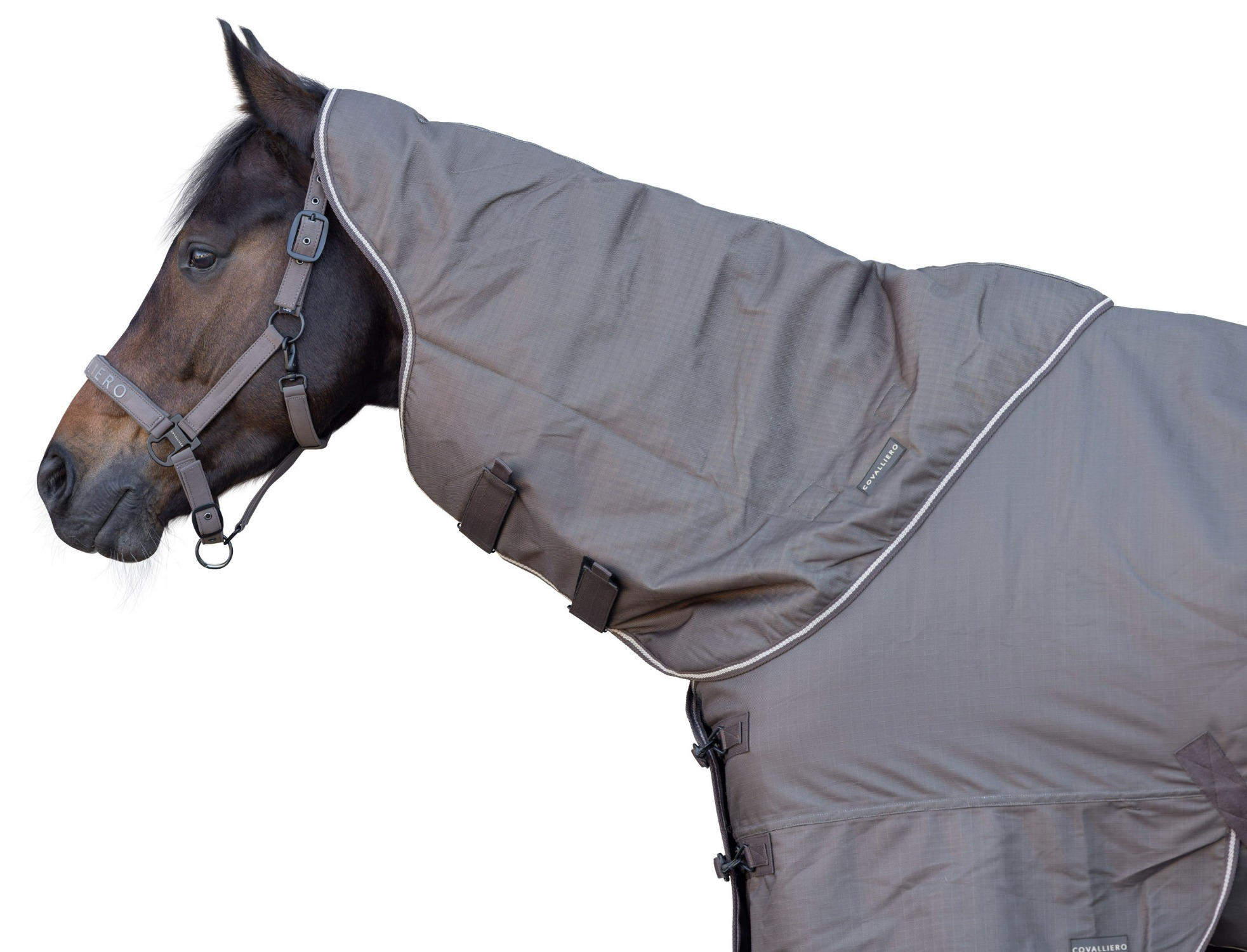 Covalliero FW26 Neck