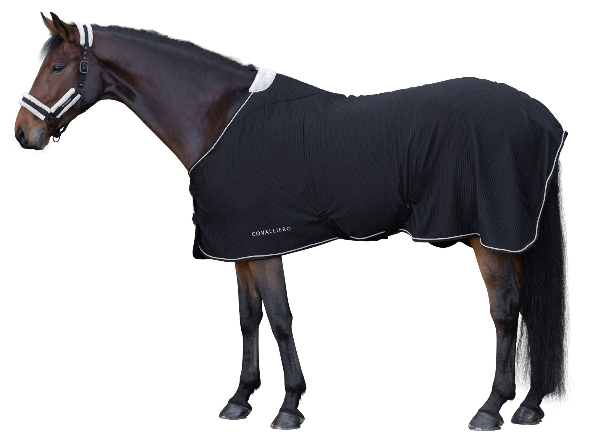 Covalliero FW26 Premium Cooler Rug