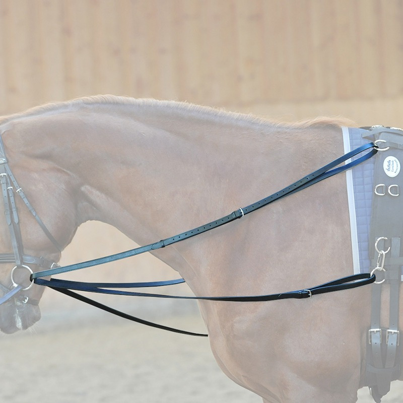 Kavalkade Philipsteugel Leder