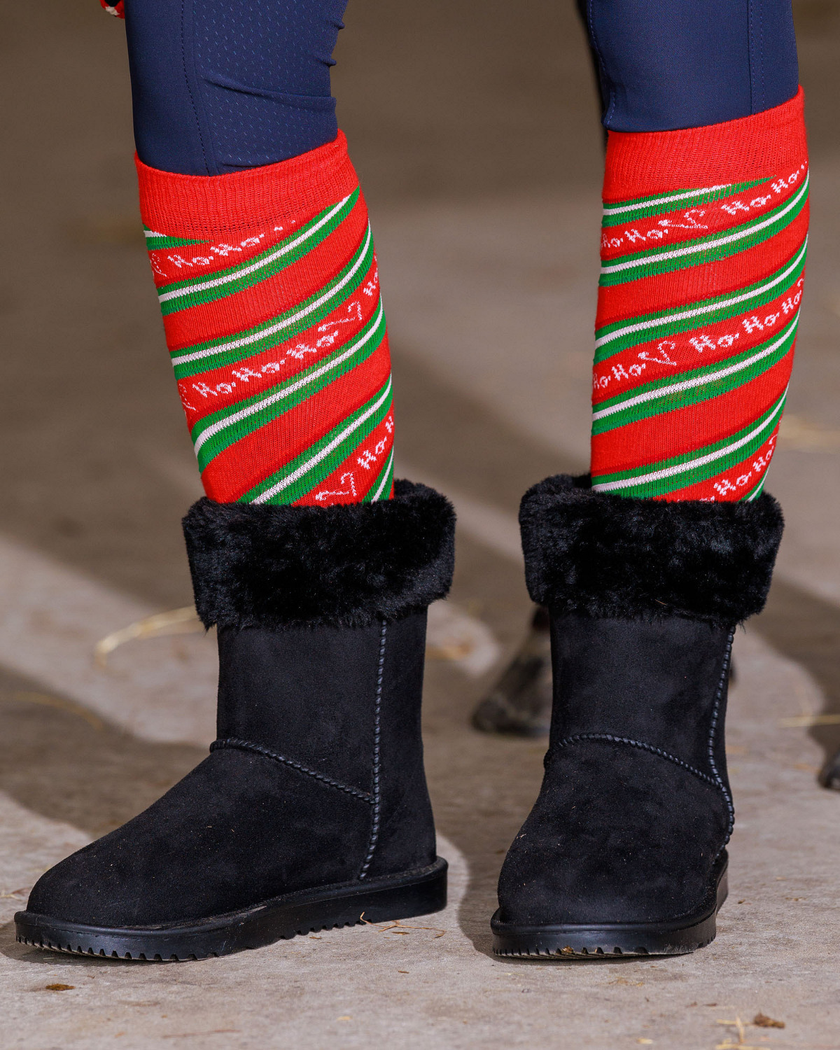 Harry's Horse Kousen Christmas