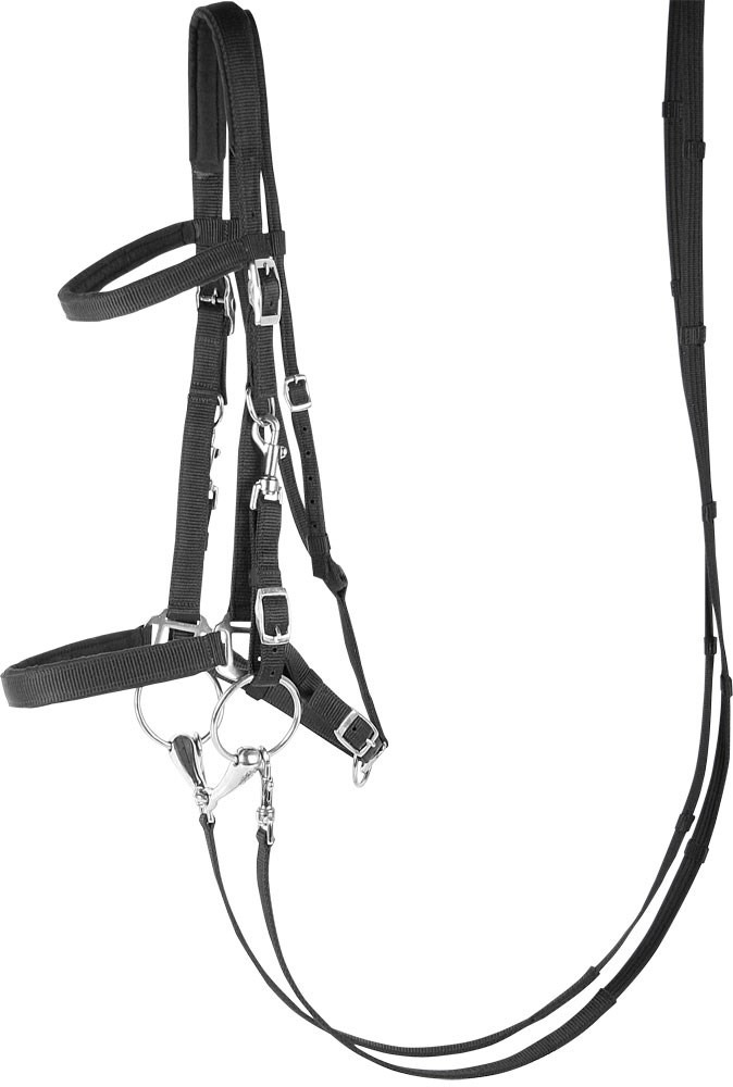 Harry's Horse Bridle/Halter