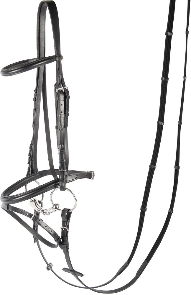 Harry's Horse Bridle Bronze