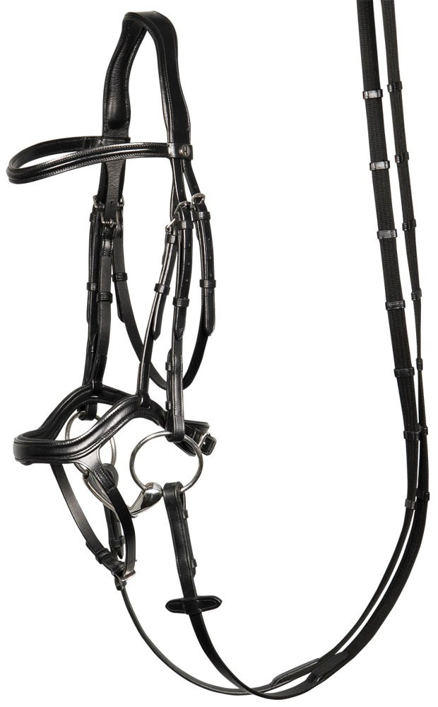 Harry's Horse Anatomic Bridle
