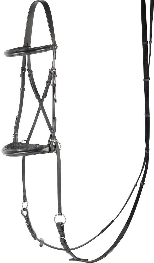 Harry's Horse Bitless bridle