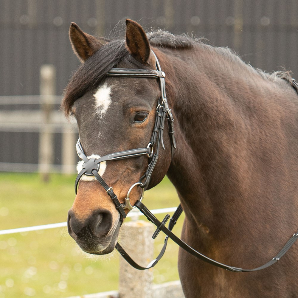 Harry's Horse Hoofdstel Mexicaans