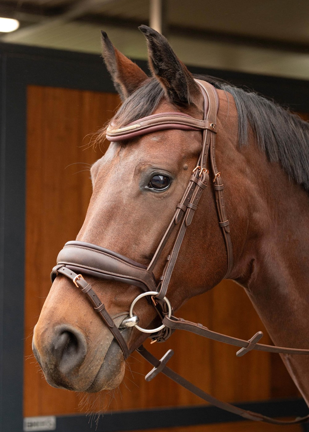Harry's Horse Bridle Soft Bombastic