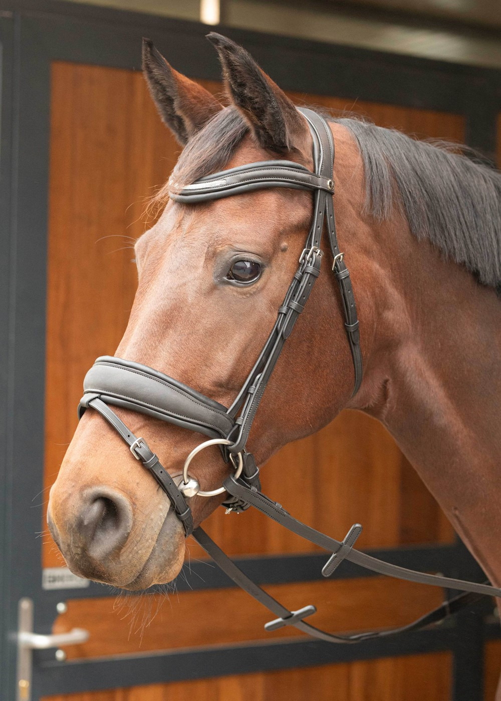 Harry's Horse Bridle Soft Bombastic