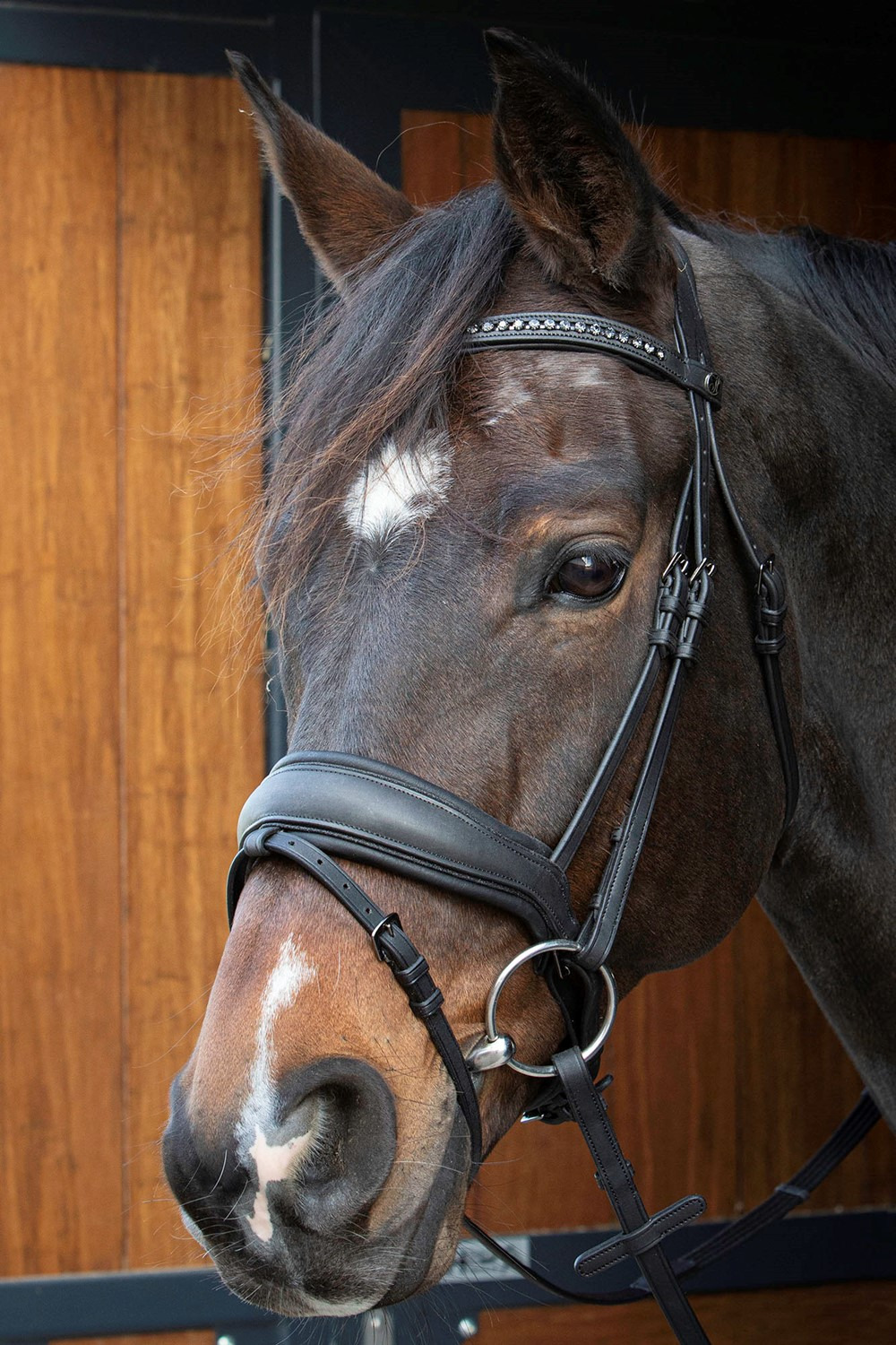 Harry's Horse Bridle Soft Bombastic Black Edition
