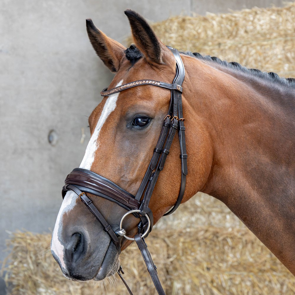Harry's Horse Copper Bridle